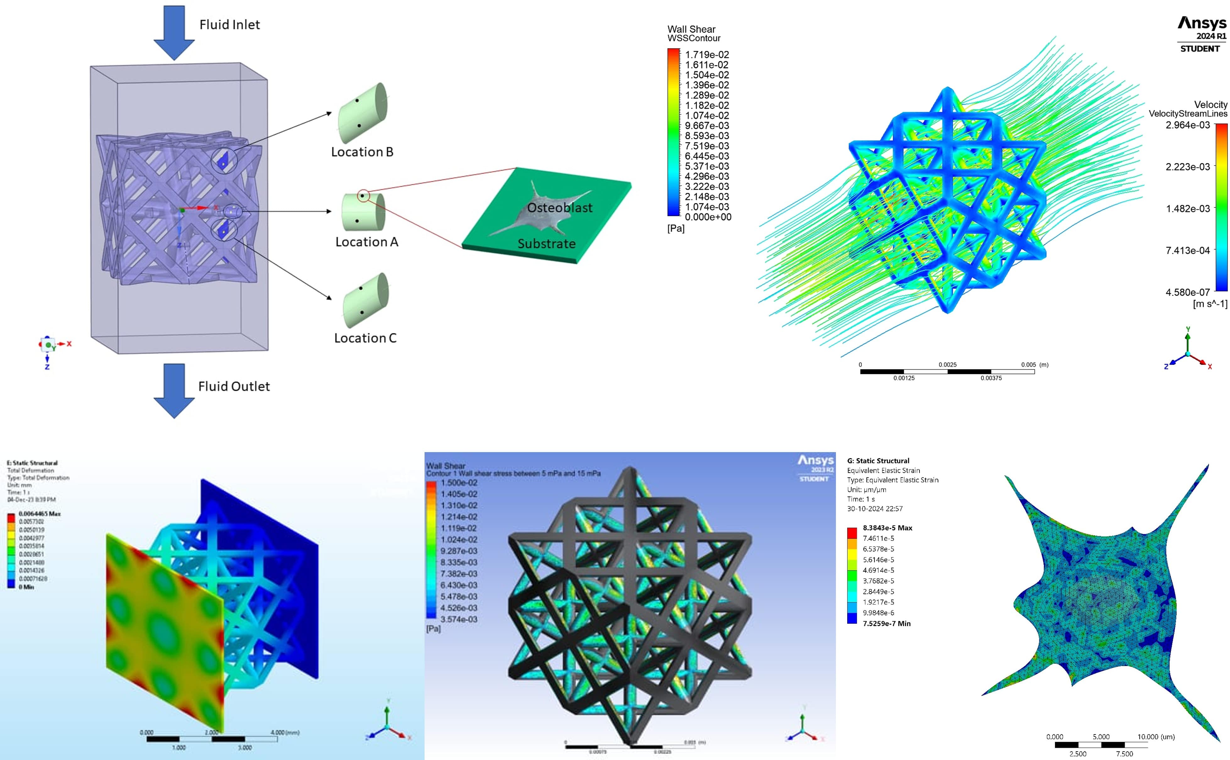Scaffold Modeling