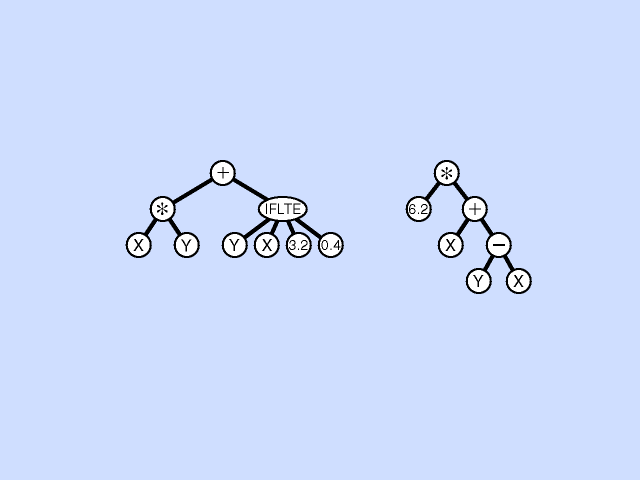 MUTATION OF A TREE