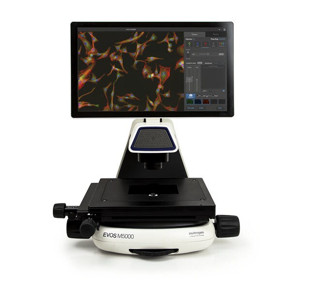 Fluorscence Digital Microscope