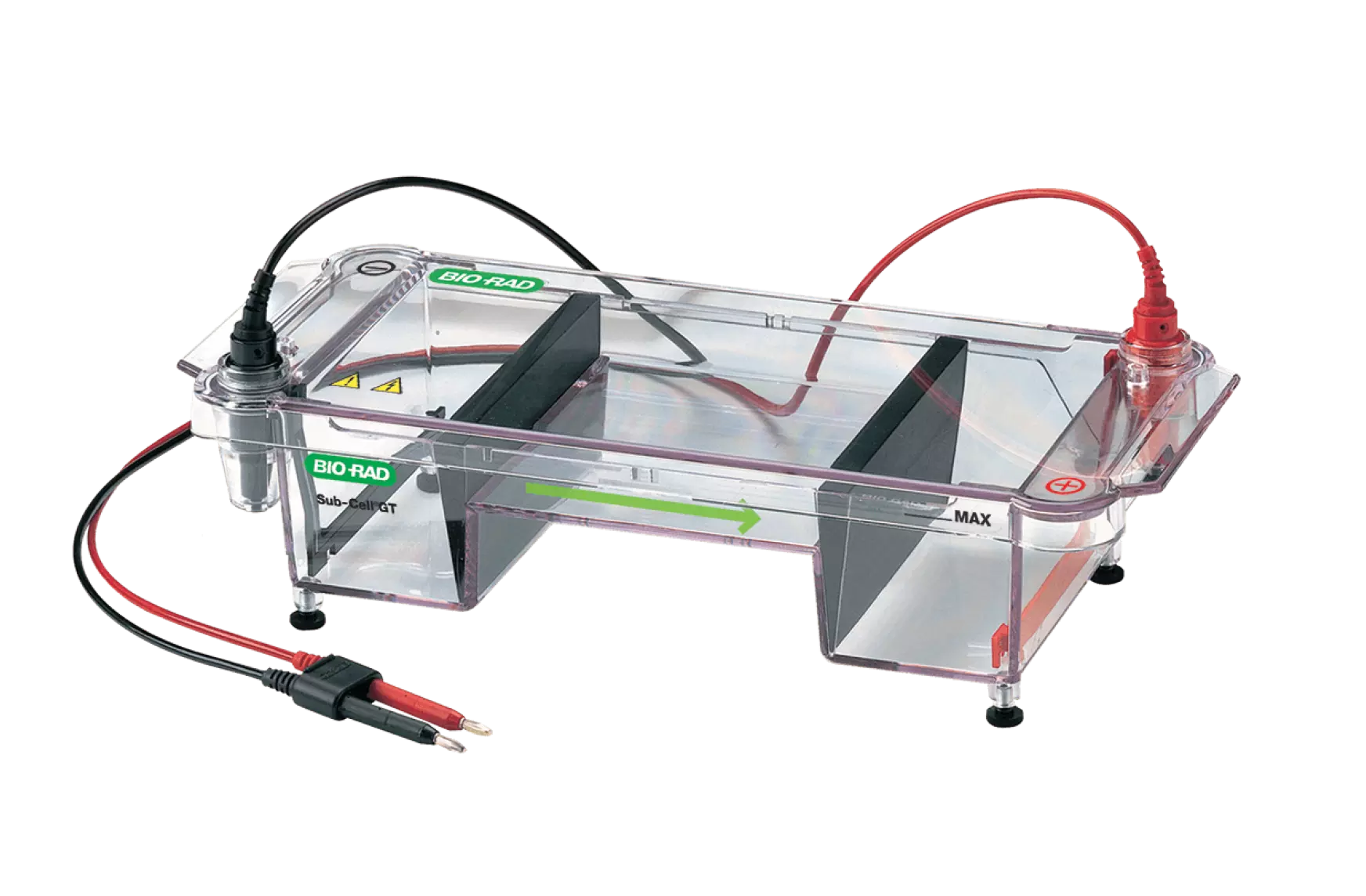 Horizontal Gel Electrophoresis