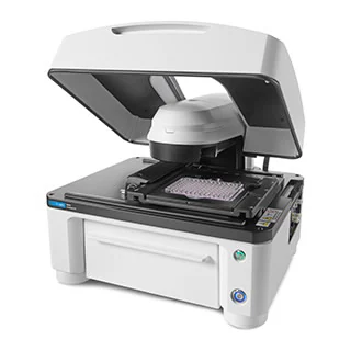Live-Cell Fluroscence Microscopy