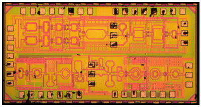 Chip 7