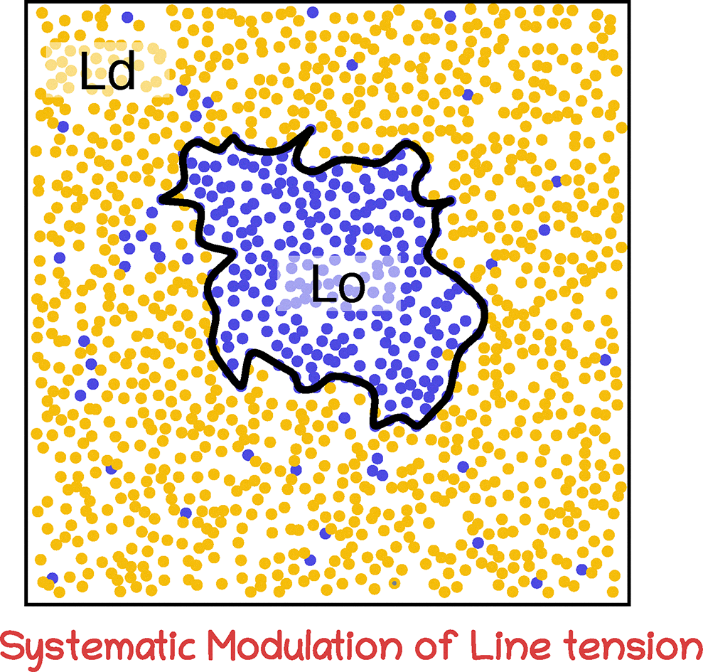 Sytematic Modulation of Line Tension