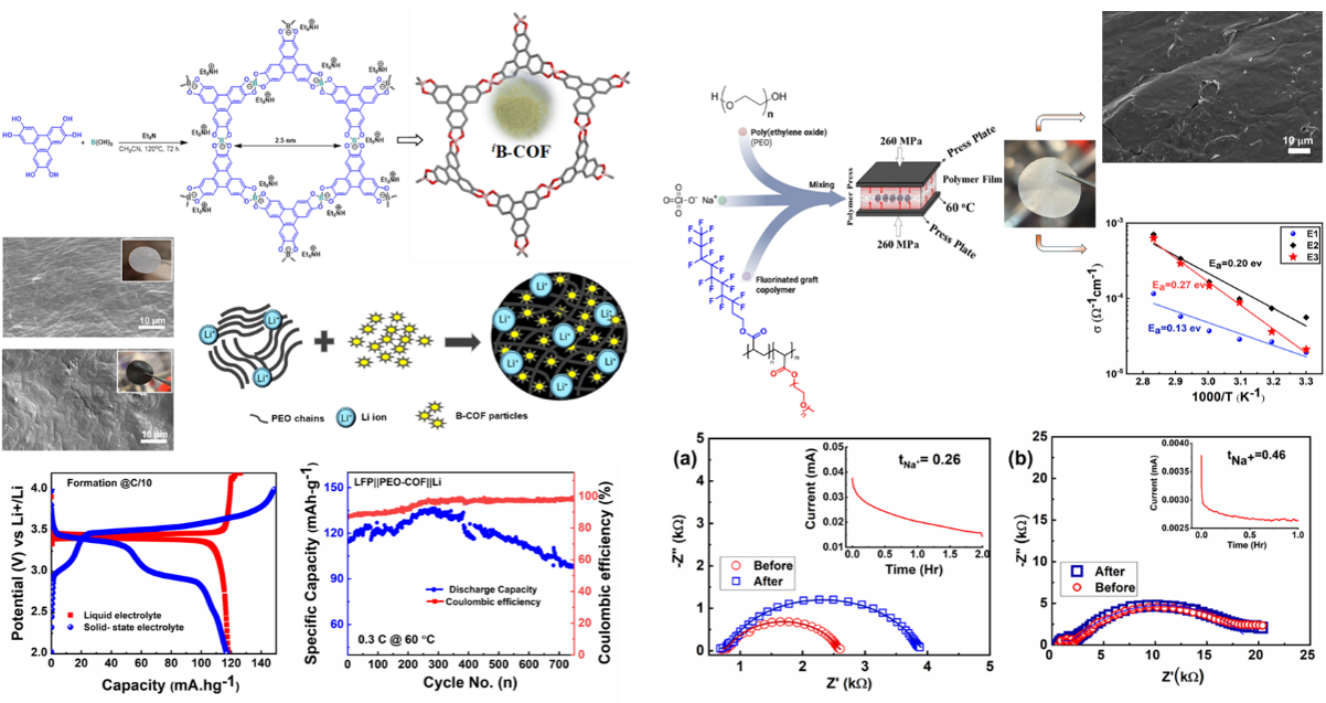 Polymer Composite Electrolytes